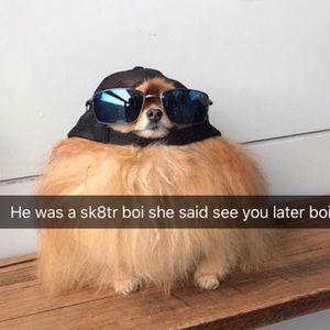 Meet your Posher, Gaby